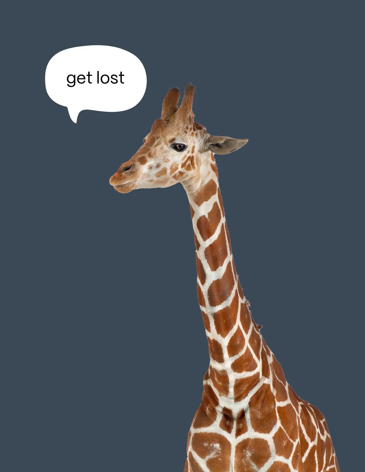 Carlos-kirahvi postikortti tumman sininen