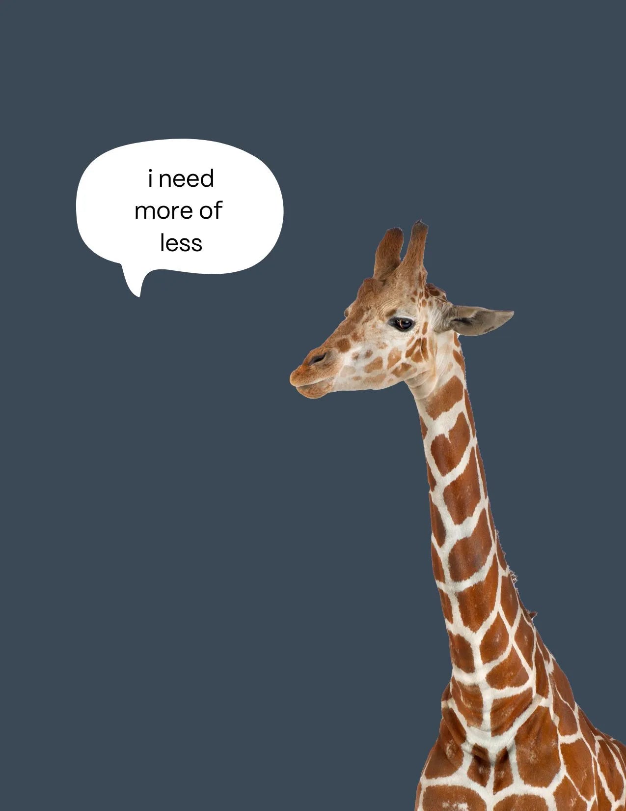 Carlos-kirahvi postikortti I need more of less