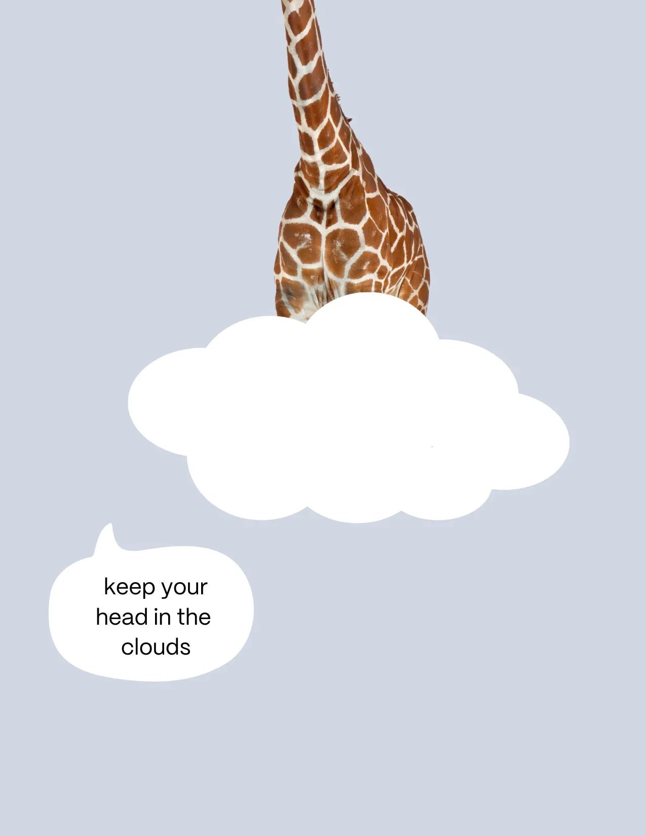 Carlos-kirahvi postikortti vaaleansininen Keep your head in the clouds