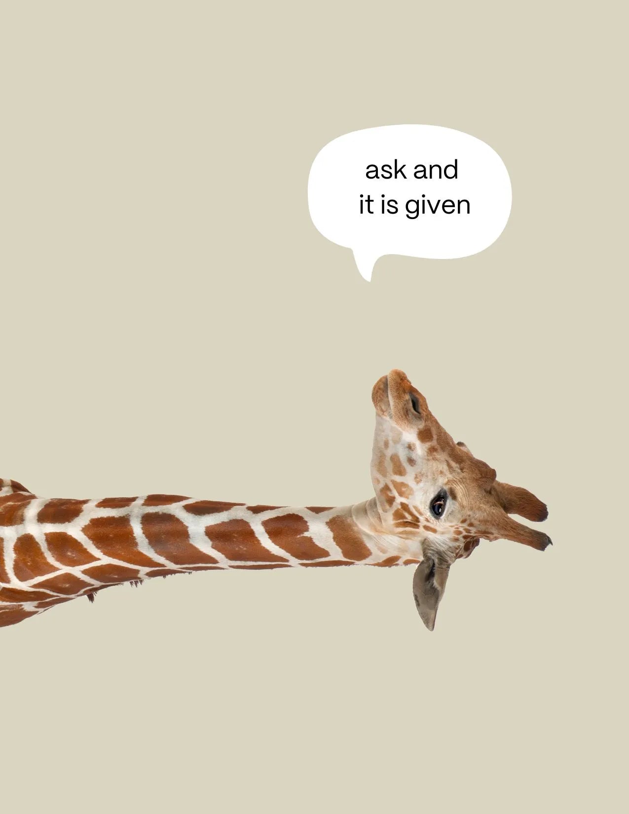 Carlos-postikortti luonnonvalkoinen Ask and it is given