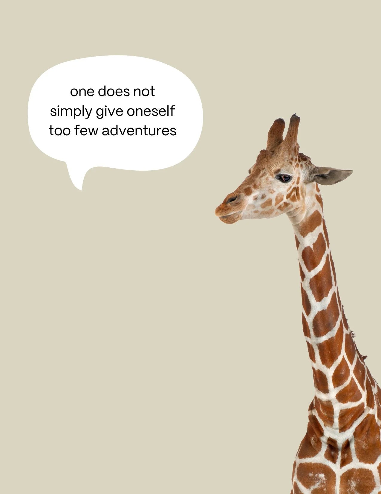 Carlos-kirahvi postikortti luonnonvalkoinen One does not simply give oneself too few adventures