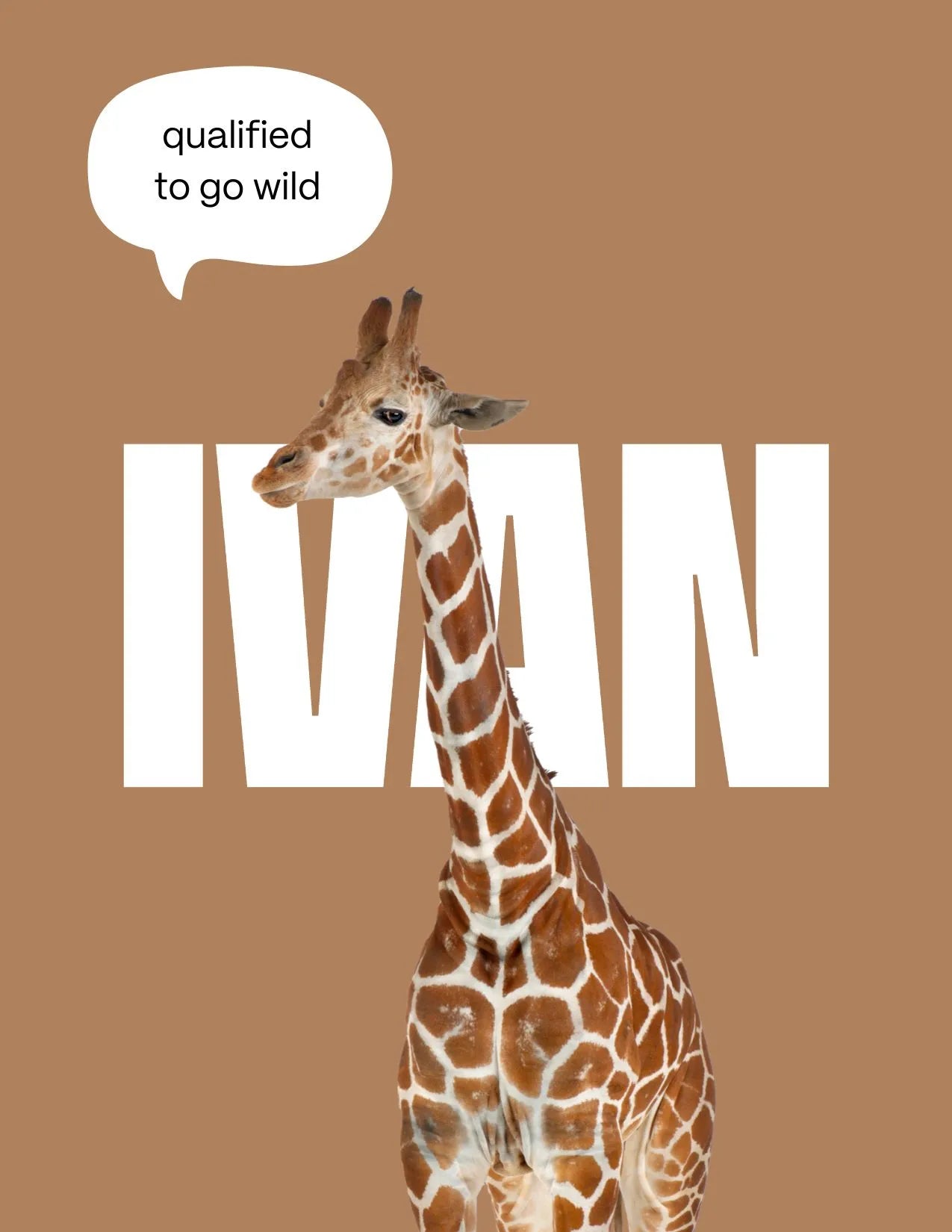 Carlos-kirahvi postikortti oranssi Qualified to go wild