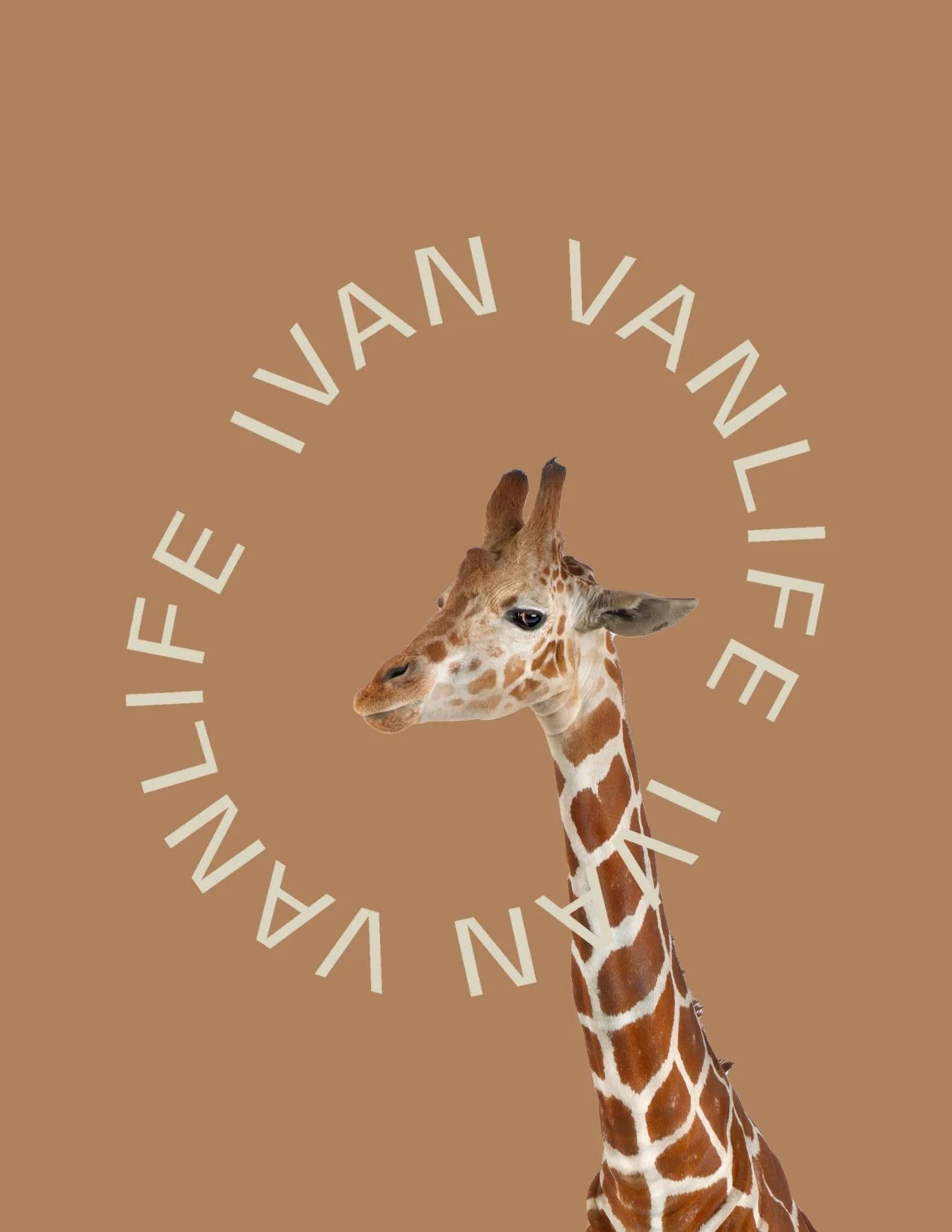 Carlos-kirahvi postikortti oranssi IVAN vanlife