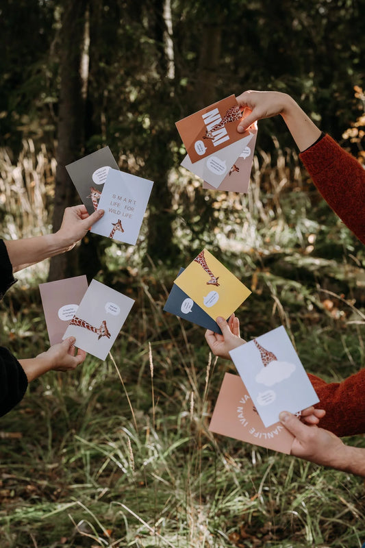 Värikäs postikorttisetti Carlos-kirahvilla